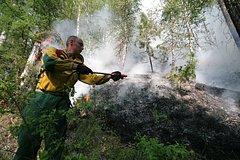 В российском регионе ввели режим ЧС в лесах